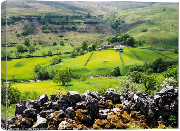 Buttercup Meadows in Upper Wharfedale Canvas Print by Mark Sunderland