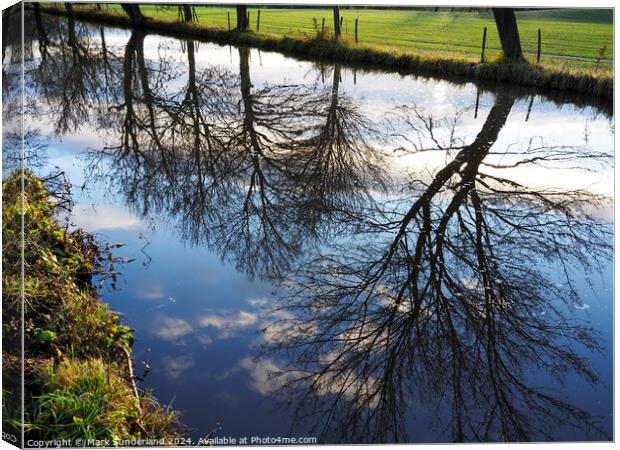 Winter Reflections in Ripon Canal Canvas Print by Mark Sunderland