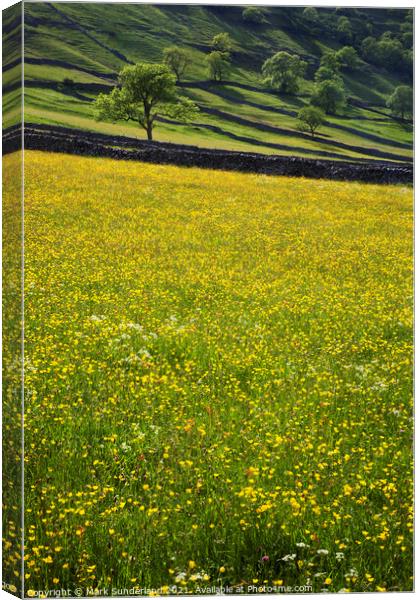 Wharfedale in Summer Canvas Print by Mark Sunderland