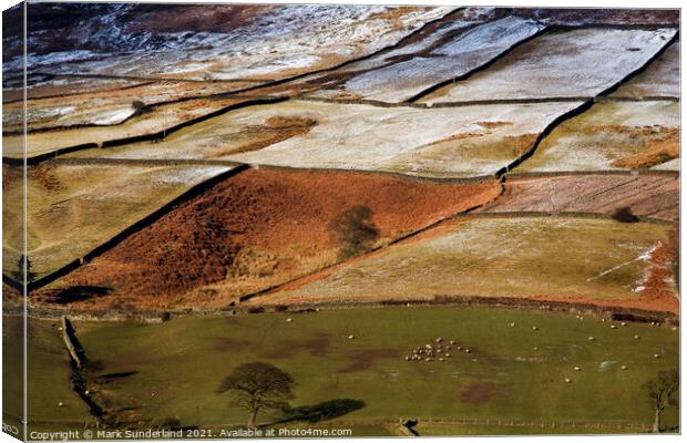 Winter Sunlight Plays on Fields in Farndale North York Moors Nat Canvas Print by Mark Sunderland