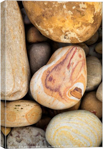 Colourful Stones on the Beach at Hayburn Wyke Canvas Print by Mark Sunderland