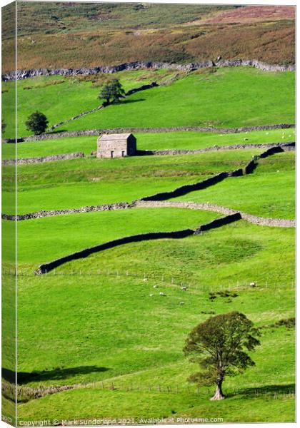 Barn and Dry Stone Walls in Upper Nidderdale Canvas Print by Mark Sunderland