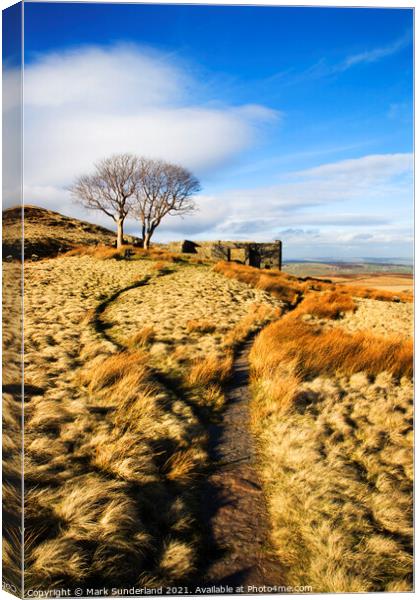 The Bronte Way at Top Withins Haworth Moor Canvas Print by Mark Sunderland