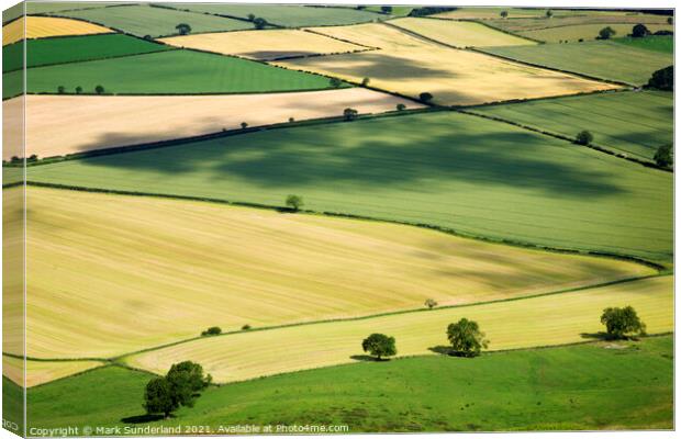 Vale of York from Roseberry Topping Canvas Print by Mark Sunderland