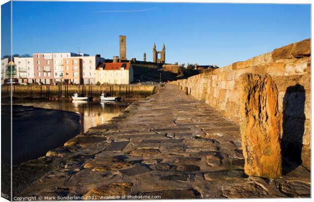 Harbour and Cathedral St Andrews Fife Scotland Canvas Print by Mark Sunderland