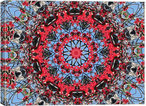 Kaleidoscope2 Canvas Print by Susmita Mishra