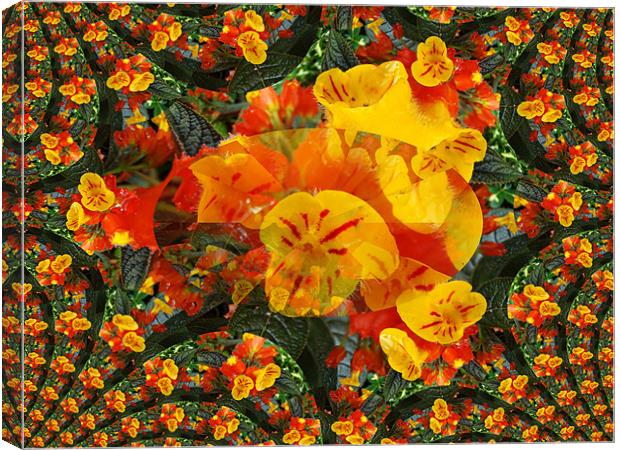 Kaleidoscope Canvas Print by Susmita Mishra