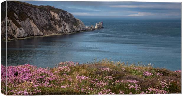 The Needles, Isle of Wight Canvas Print by Paul Smith