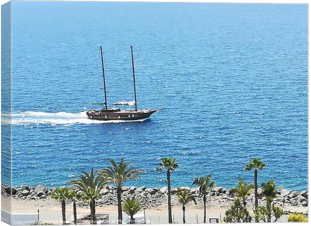 Sail on by gran canaria  Canvas Print by Martin Foster