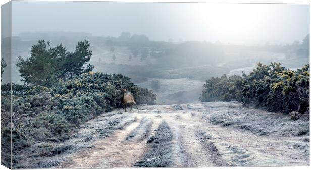 Winter Wonderland Canvas Print by Judith Stewart