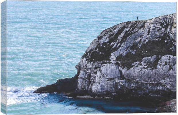 Wanderer Above the Jurassic Coast, United Kingdom  Canvas Print by Awoken Photography UK