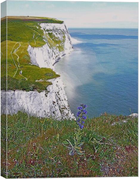 White Cliffs Of Dover With Wild Flowers, Kent UK. Canvas Print by Ernest Sampson