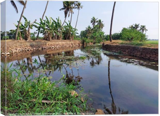 a view of small river and coconut tree a view from Kerala Canvas Print by Anish Punchayil Sukumaran