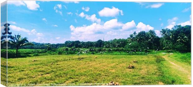 Blue cloudy sky and paddy field , pegion flying over paddy field Canvas Print by Anish Punchayil Sukumaran