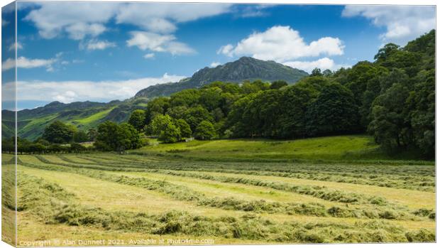Harter Fell on a summers day at harvest Canvas Print by Alan Dunnett