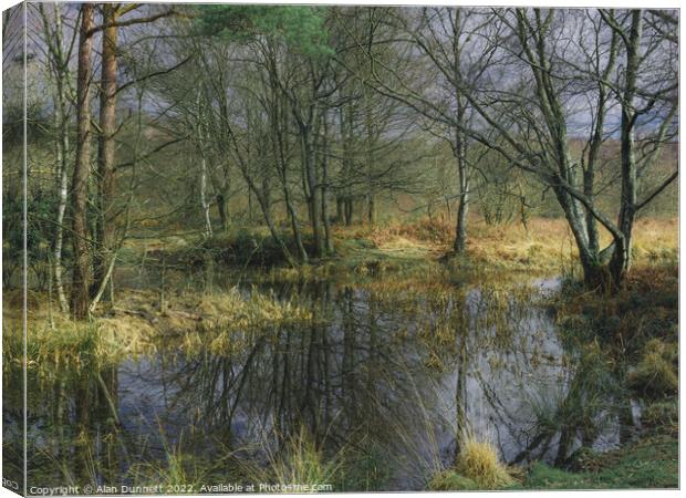 Winter Pond Canvas Print by Alan Dunnett