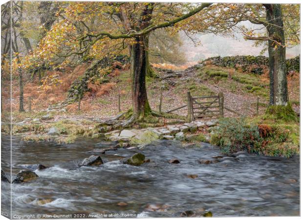 Gate and mist Canvas Print by Alan Dunnett