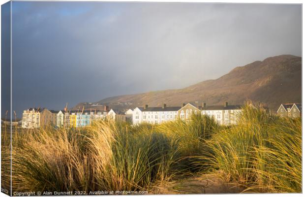 Barmouth in dunes Canvas Print by Alan Dunnett