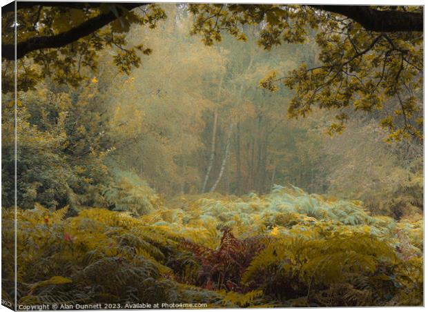 Enchanted Forest Solitude Canvas Print by Alan Dunnett