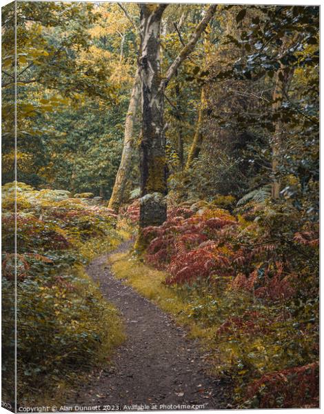 The path of transition to Autumn Canvas Print by Alan Dunnett