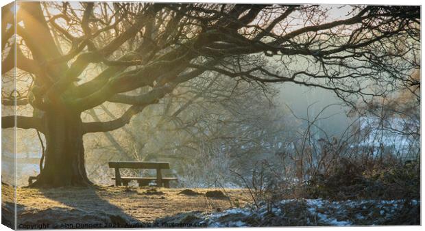 Winter sunlight and bench Canvas Print by Alan Dunnett
