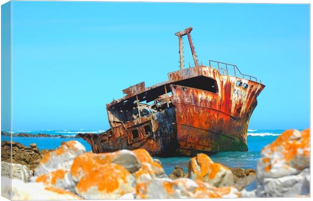Shipwreck Cape Augulhas South Africa Canvas Print by Pieter Marais