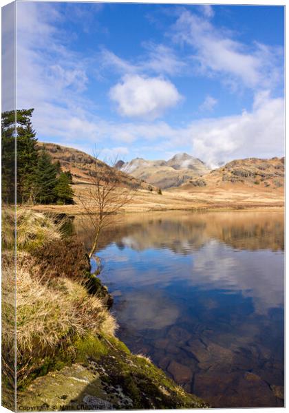 Blea Tarn and Langdale Pikes, Cumbria Canvas Print by Photimageon UK