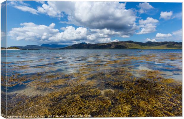 Loch Eishort seaweed  and Cuillin, Skye Canvas Print by Photimageon UK