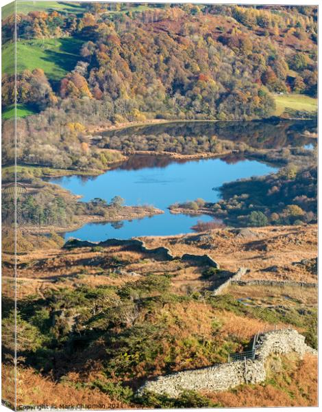 Elterwater in the English Lake District Canvas Print by Photimageon UK