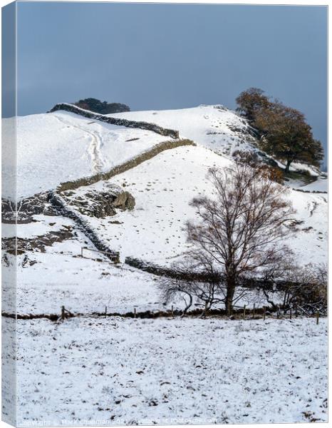Little Langdale in Winter Canvas Print by Photimageon UK