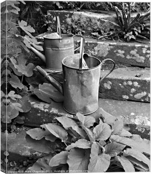 Old watering cans on stone steps Canvas Print by Photimageon UK