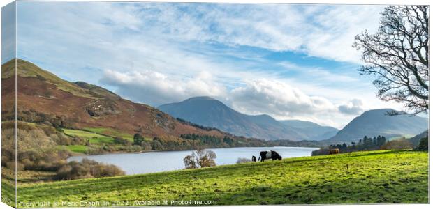 Loweswater in the Lake District Canvas Print by Photimageon UK