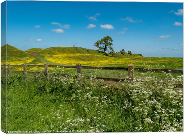 Spring flowers at Burrough Hill, Leicestershire Canvas Print by Photimageon UK