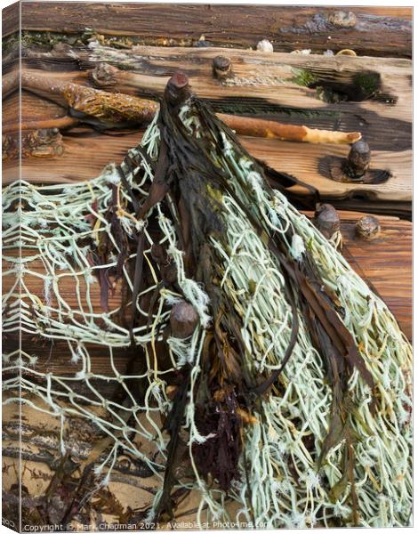 Driftwood and fishing net, Isle of Colonsay, Scotland Canvas Print by Photimageon UK