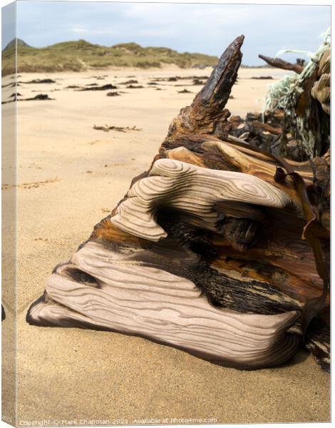 Shipwreck timbers on Balnahard Beach, Isle of Colonsay, Scotland Canvas Print by Photimageon UK