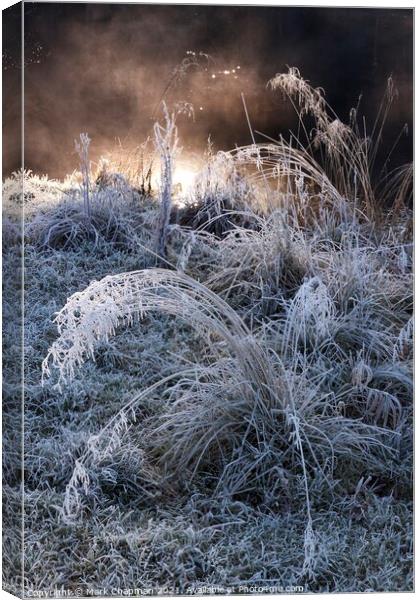 Mist, hoar frost and grass Canvas Print by Photimageon UK