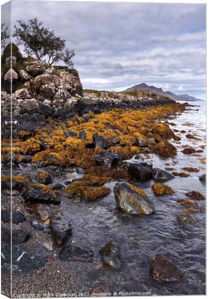 Rocky beach seaweed, Camas a Mhor-bheoil beach, Skye Canvas Print by Photimageon UK