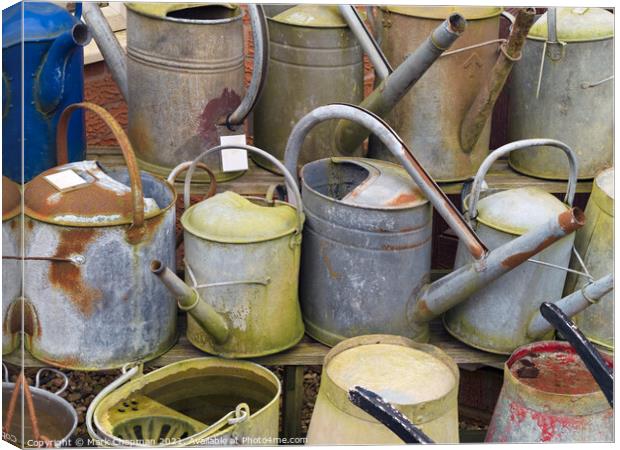 Assorted old metal watering cans and buckets Canvas Print by Photimageon UK
