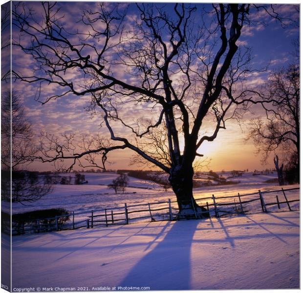 Tree silhouette snowy Winter sunset, Leicestershir Canvas Print by Photimageon UK