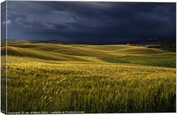 Tuscan Storm Canvas Print by Ian Williams