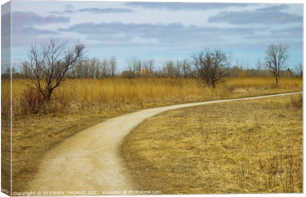 Transcona Bioreserve in Spring Canvas Print by STEPHEN THOMAS