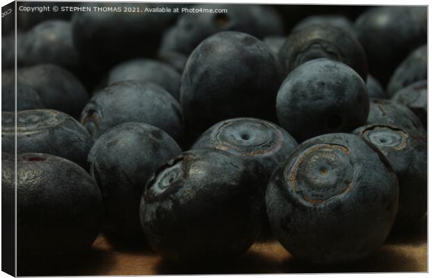 A Bunch of Blueberries Canvas Print by STEPHEN THOMAS
