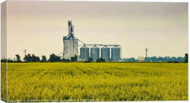The Paterson Grain Terminal, Rosser, MB Canvas Print by STEPHEN THOMAS