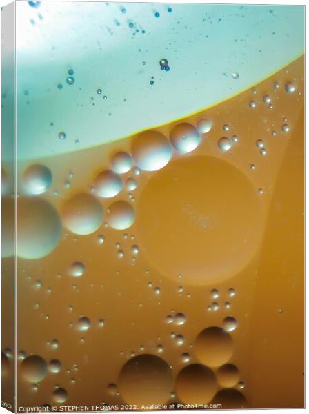 If Venus & Mars Had Babies - Water and Oil Abstract Canvas Print by STEPHEN THOMAS