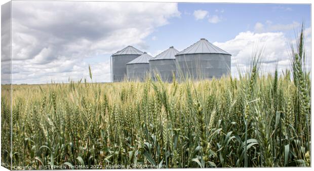 Grain Bins in a Wheat Field Canvas Print by STEPHEN THOMAS