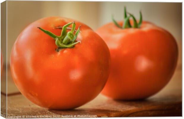 Two Tomatoes Canvas Print by STEPHEN THOMAS