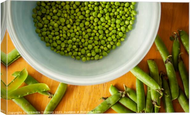 Shelling Peas Canvas Print by STEPHEN THOMAS