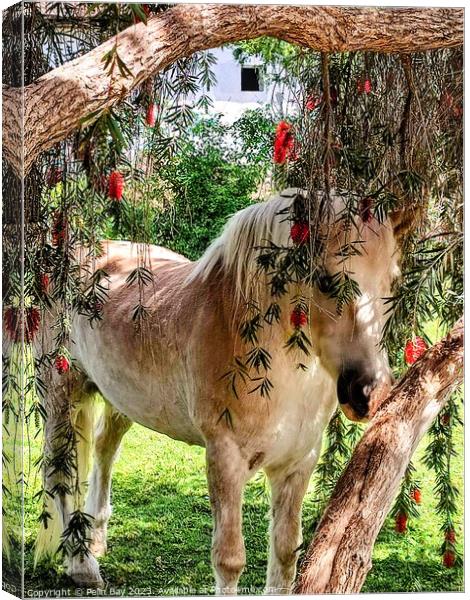 A brown horse standing next to a forest Canvas Print by Pelin Bay