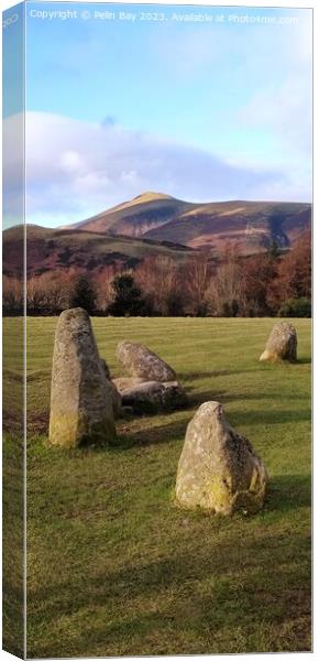 Mountain View from castlerigg stones Canvas Print by Pelin Bay