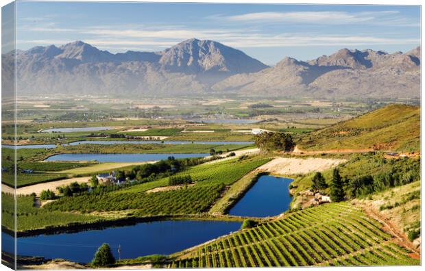 Ceres Valley, South Africa Canvas Print by Neil Overy